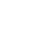 Cash Optimization